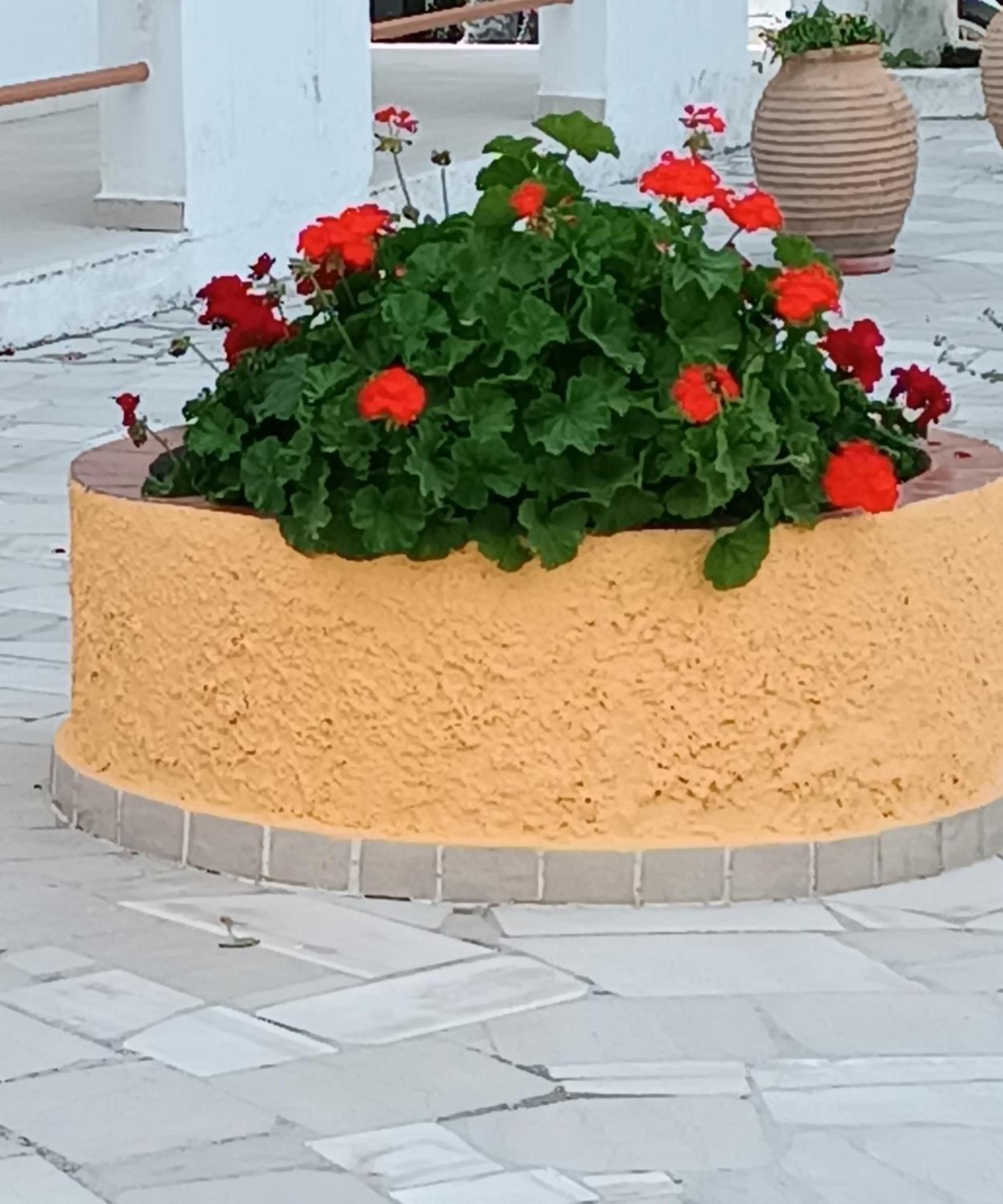 Aparthotel Sofia *